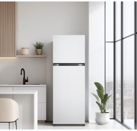 LG전자 ❭ 241L 2도어 일반냉장고 B245W22