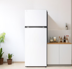 LG전자 ❭ 461L 일반냉장고 오브제컬렉션 D463MHH33