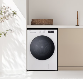 LG전자 ❭ 트롬 건조 겸용 세탁기 9kg /4.5kg FY9WTB