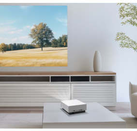 LG전자 ❭ 시네빔 Laser 4K 투사형 HU810PW