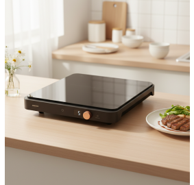 삼성전자 ❭ 1구 더 플레이트 인덕션 NZ62DG300CFK