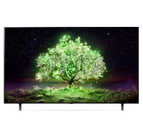 [LG전자] 65인치 OLED TV