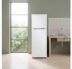 삼성전자 ❭ 255L 2도어 일반냉장고 RT25BAR41WW