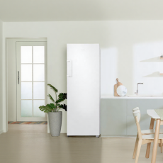 삼성전자 ❭ 277L 1도어 냉동전용고 RZ22CG4000WW