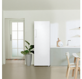 삼성전자 ❭ 277L 1도어 냉동전용고 RZ22CG4000WW